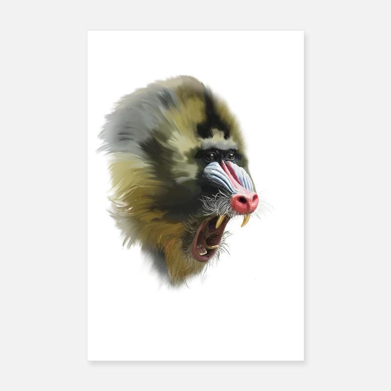 mandrill - Poster 20 x 30 cm - blanc