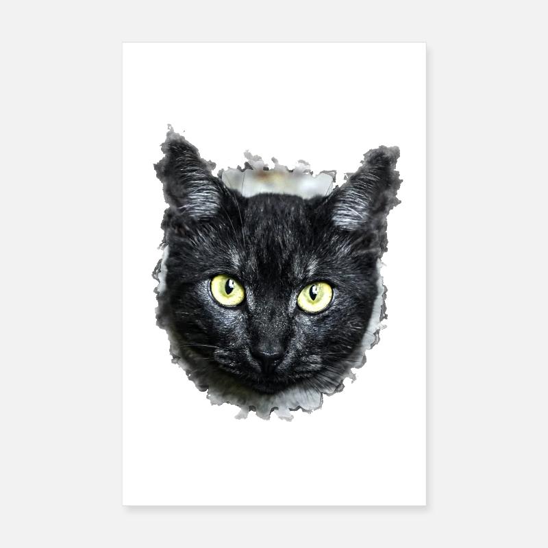 black cat schwarze Katze Poster 20x30 cm