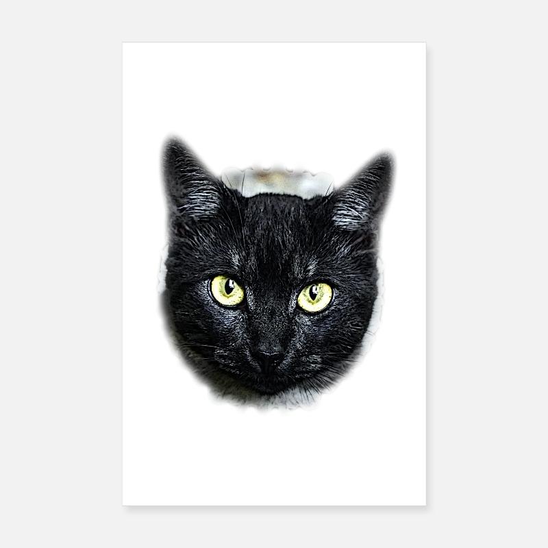 black cat chat noir - Poster 20 x 30 cm - blanc