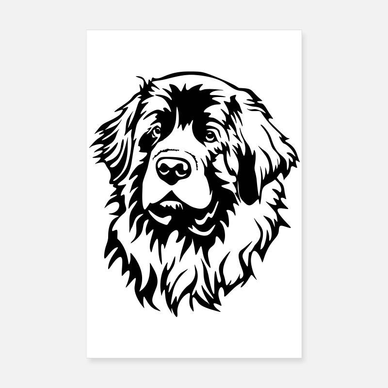Leonberger Kopf Poster 20x30 cm