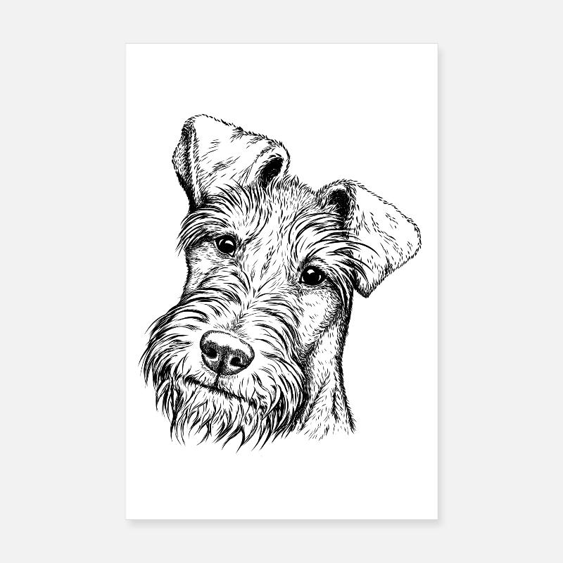 Irish Terrier Portrait - Poster 20x30 cm - Weiß