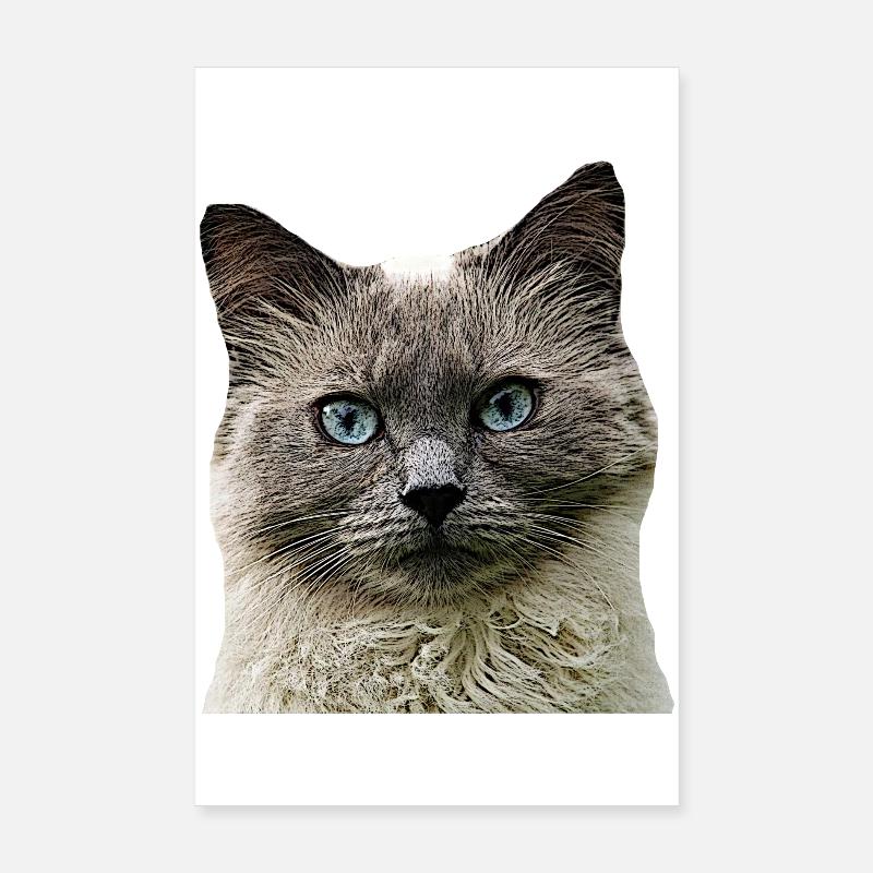 Cat Cats cat Cats Cat Head - Poster 8" x 12" (20x30 cm) - white