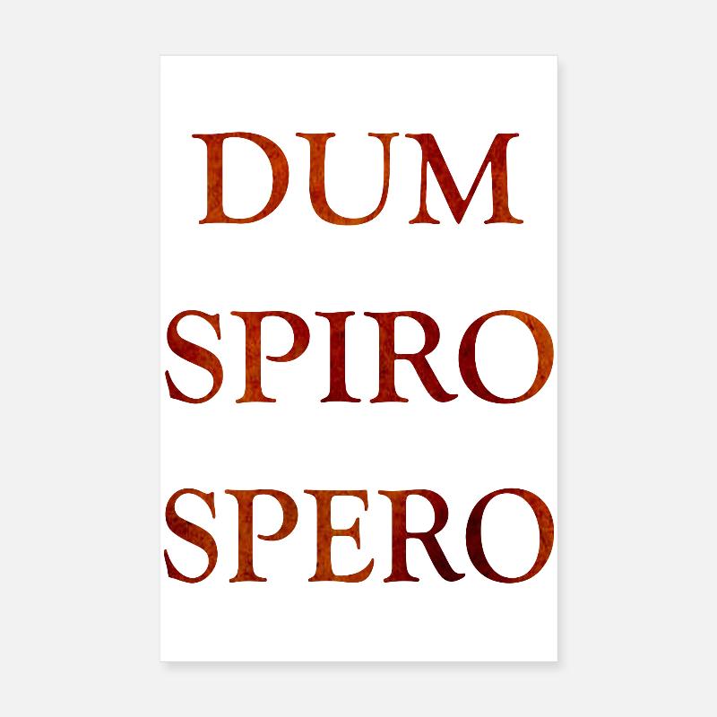 Dum Spiro Spero Poster 8" x 12" (20x30 cm)