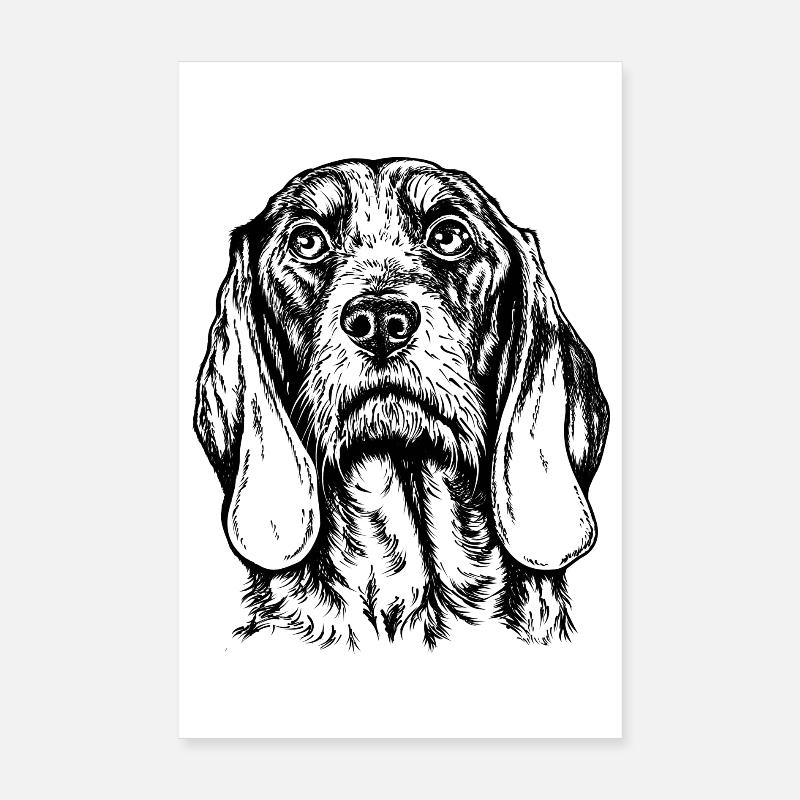 Schweizer Laufhund Portrait - Poster 20x30 cm - Weiß