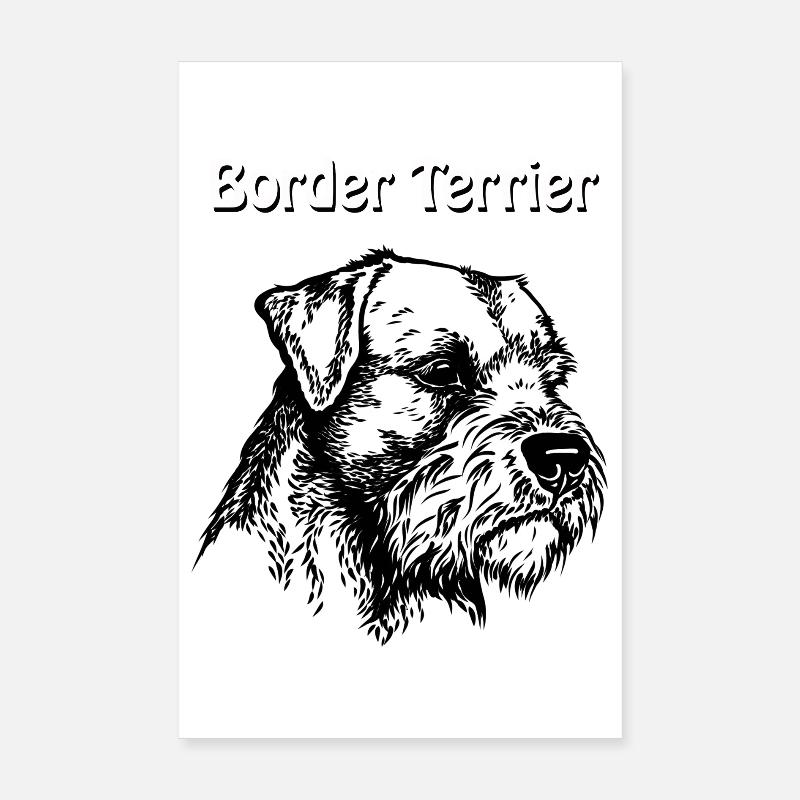 Border Terrier Portrait #2 Poster 20x30 cm