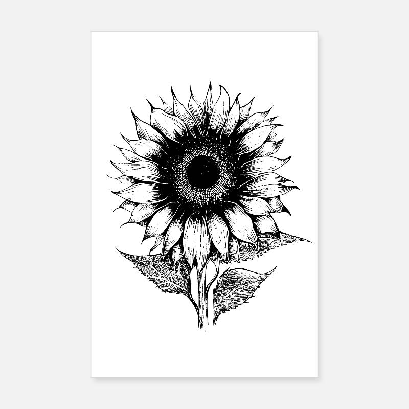 Sonnenblume Lineart botanisch Hobbygärtner Poster 20x30 cm