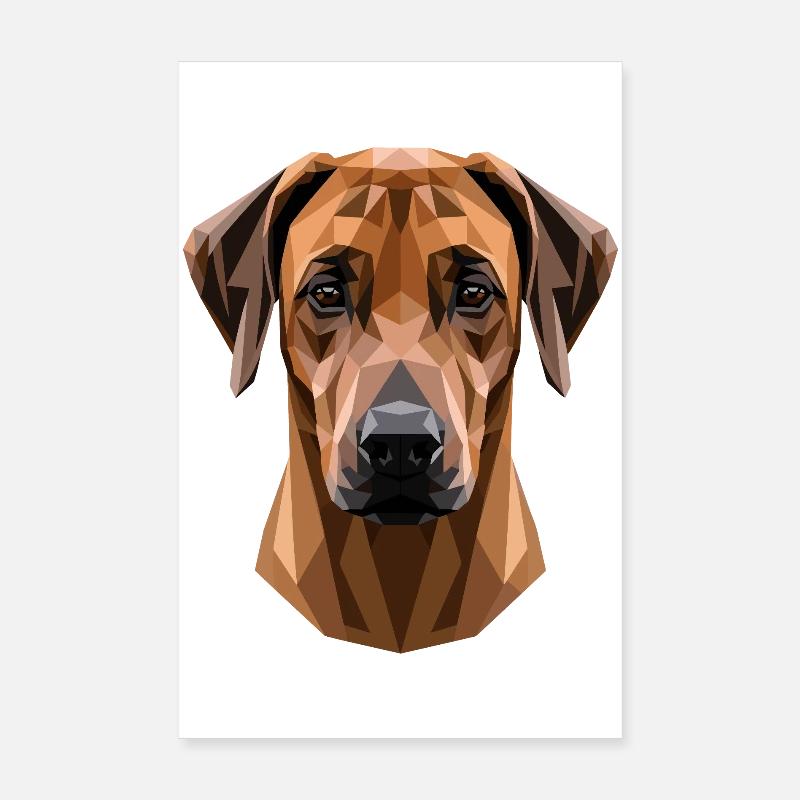 Rhodesian Ridgeback Jagdhund Hunde Stolz Ridgeback Poster 20x30 cm