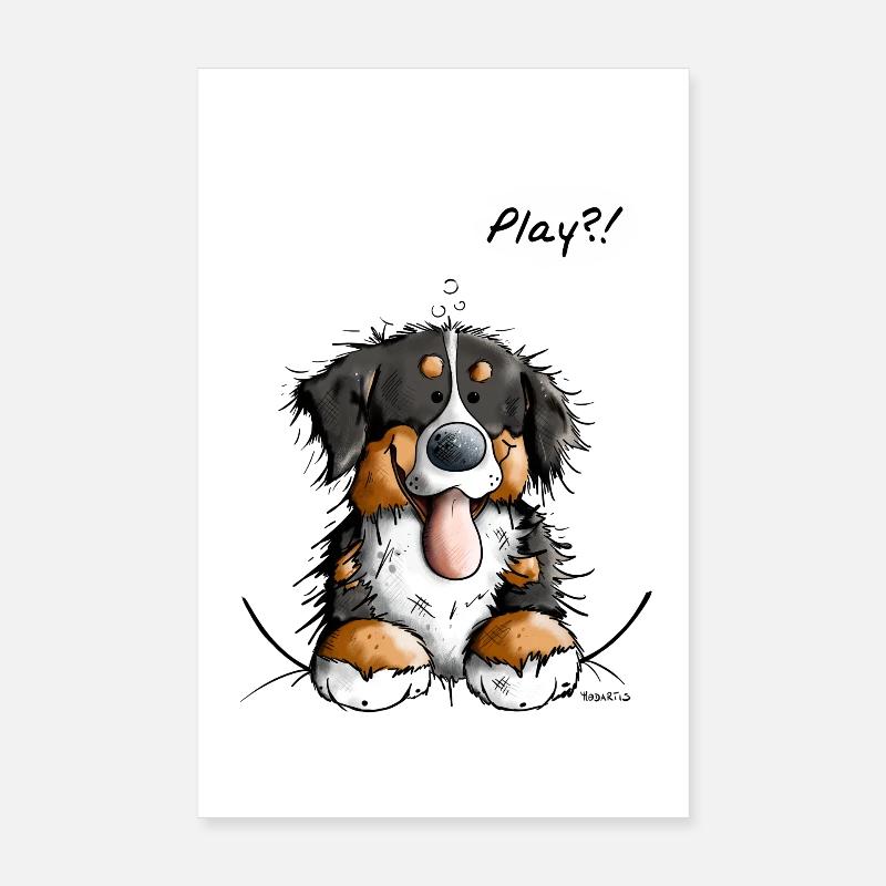 Berner Sennenhund Play - Bernese Mountain Dog - Poster 20x30 cm - Weiß