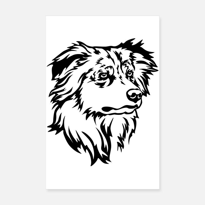 Australian Shepherd Kopf Poster 20x30 cm