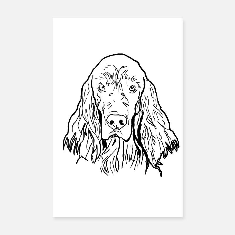 Setter irlandais - Poster 20 x 30 cm - blanc