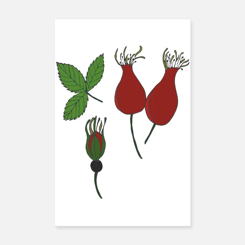 rose hip Poster 8" x 12" (20x30 cm)