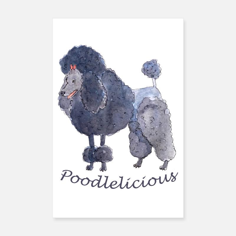 Caniche caniche Puddel Poster 20 x 30 cm