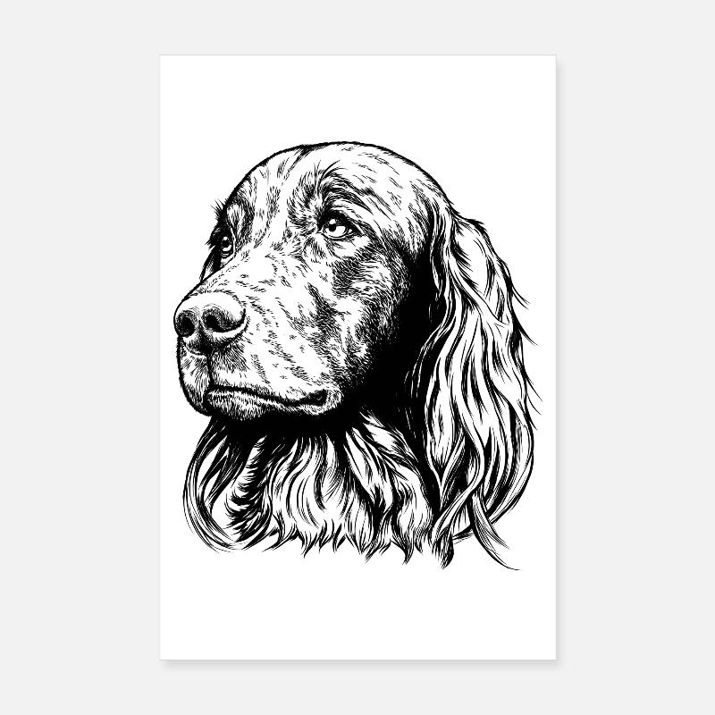 Portrait de setter irlandais Poster 20 x 30 cm