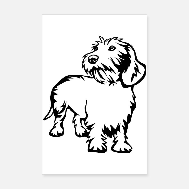 teckel Poster 20 x 30 cm