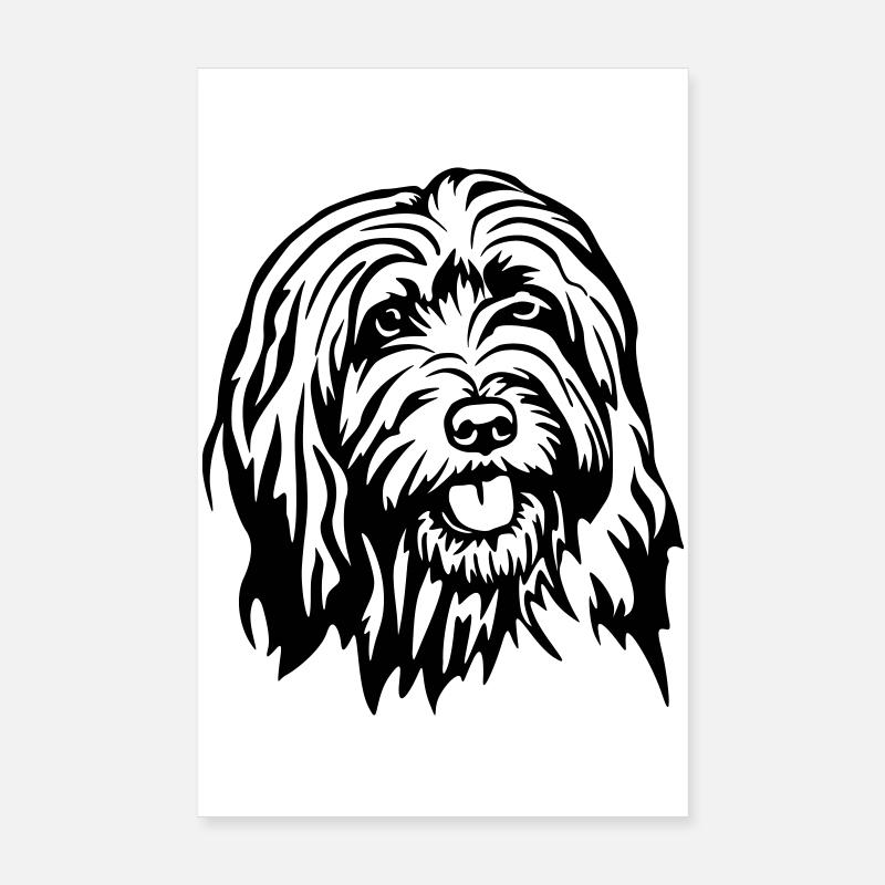 Gos d’atura Catala Head Poster 20 x 30 cm