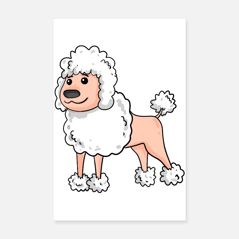 Caniche Race de chien blanc Poster 20 x 30 cm