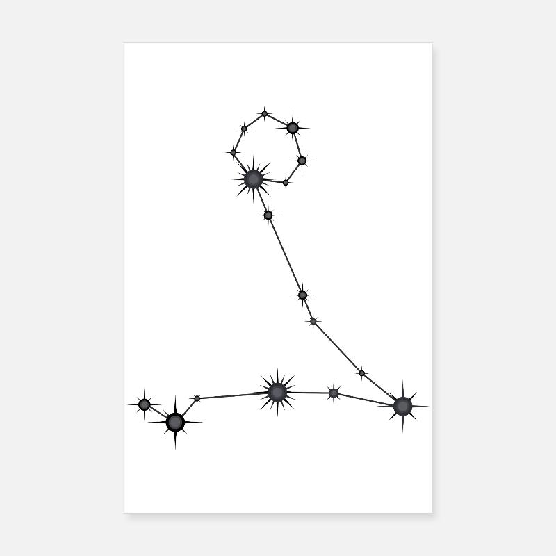 Fische Sternbild Sternzeichen Schwarz & Grau Poster 20x30 cm