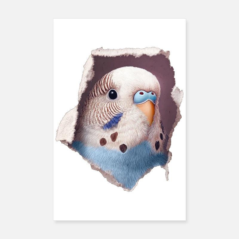 Perruche ondulée Poster 20 x 30 cm