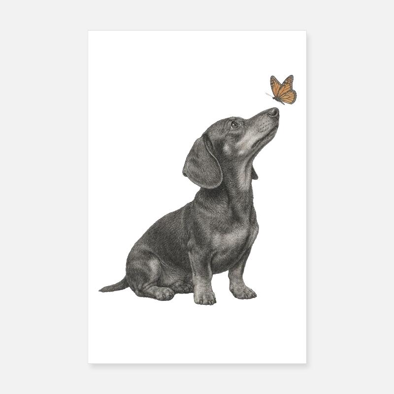 Illustration de teckel avec chien papillon Poster 20 x 30 cm