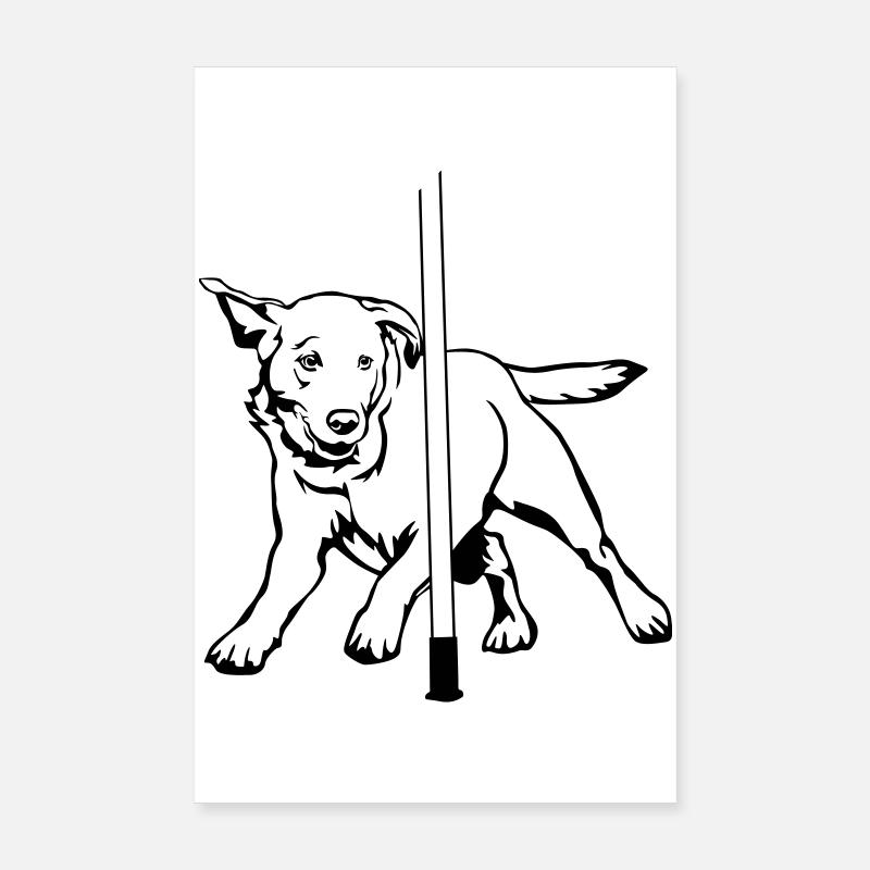 Labrador Poster 20x30 cm