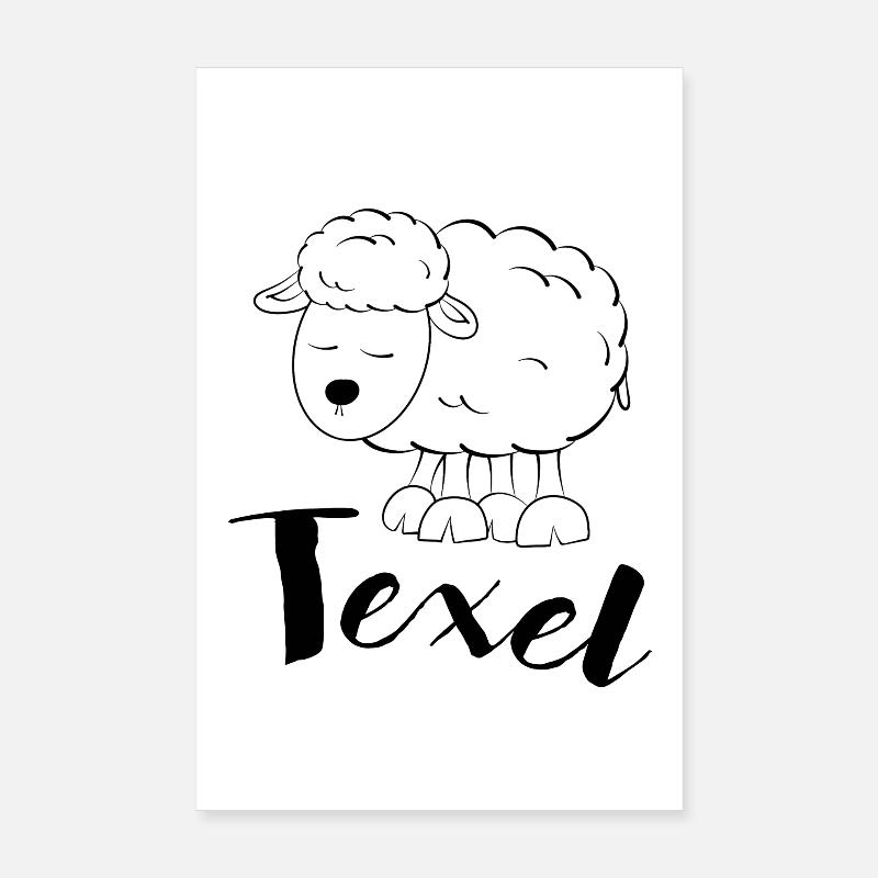 Texel Schaf - Poster 20x30 cm - Weiß