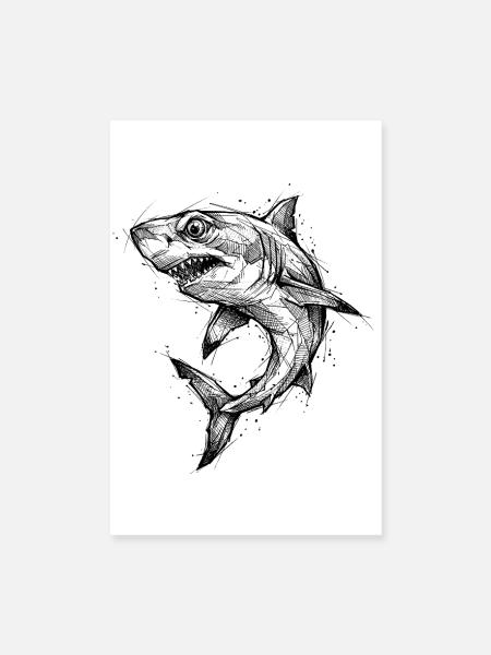 Shark Geometric - Modern Shark Sketch Design - Poster 8" x 12" (20x30 cm) - white - Front