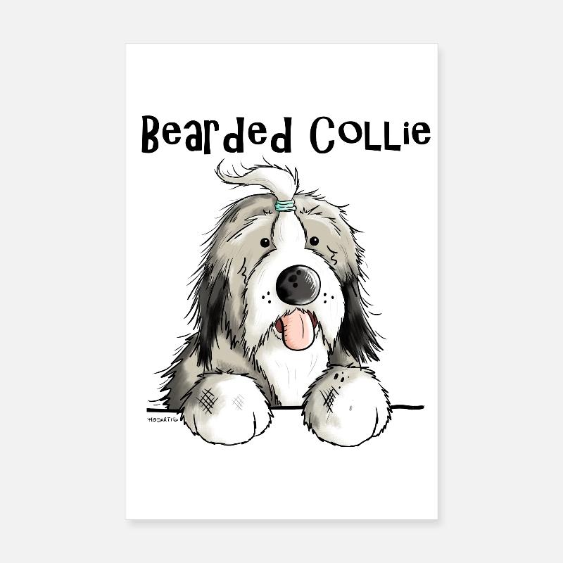 Mignon Bearded Collie - Poster 20 x 30 cm - blanc