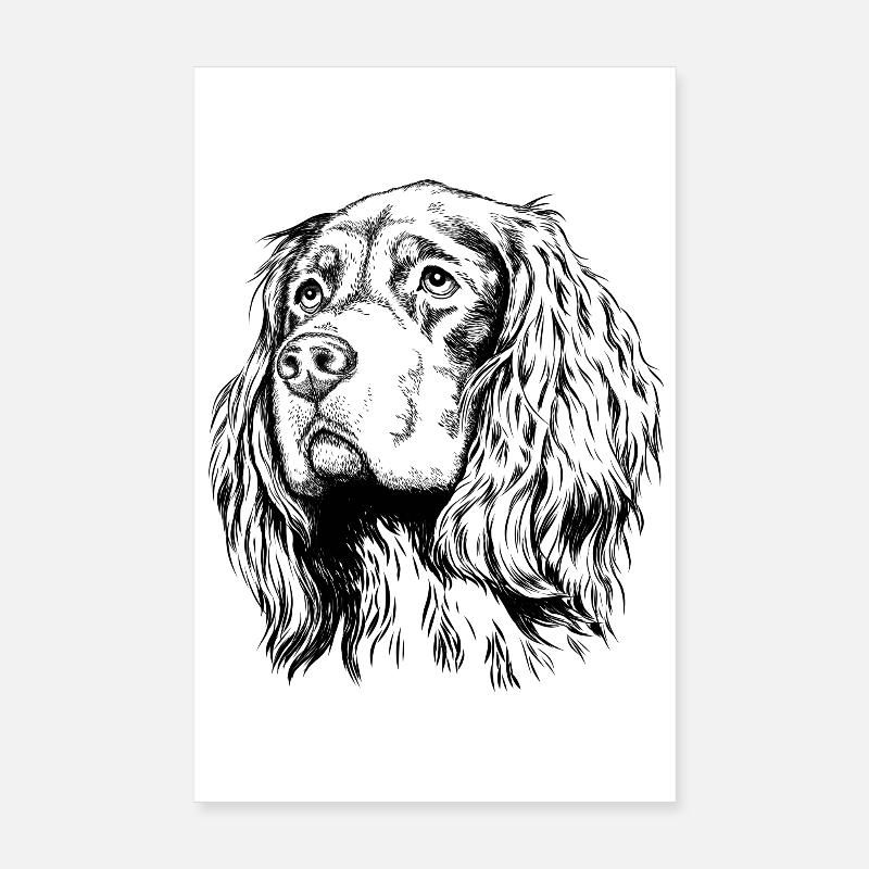 Gordon Setter Portrait - Poster 20 x 30 cm - blanc