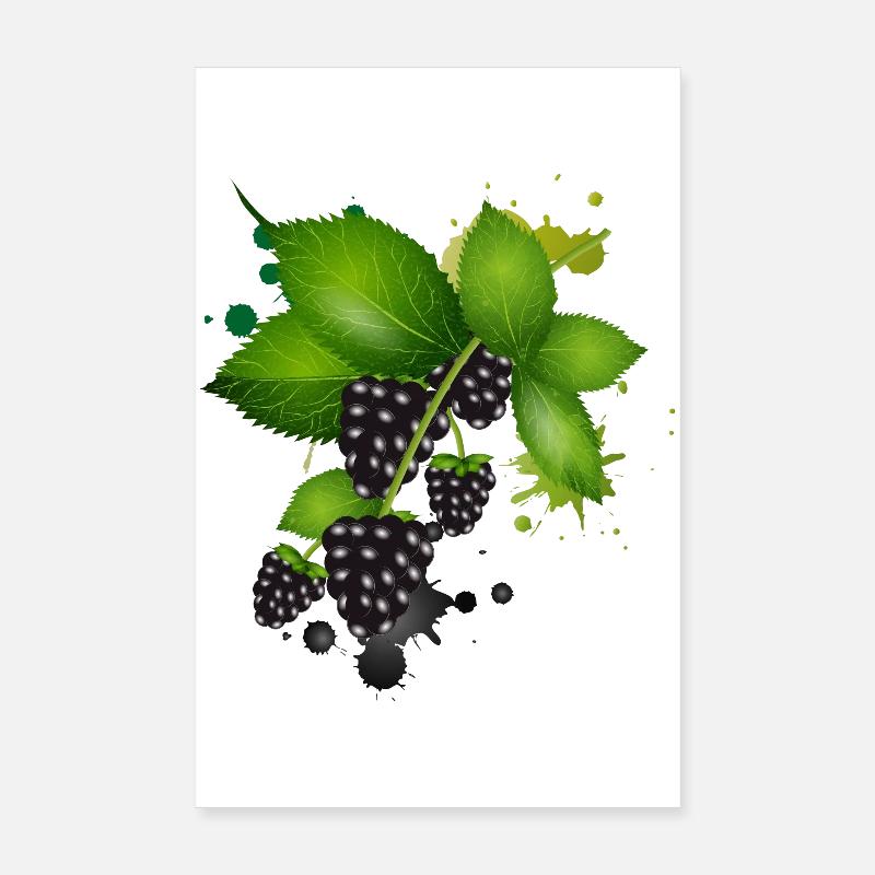 dunkelviolette Brombeeren mit Blätter als Graffiti - Poster 20x30 cm - Weiß