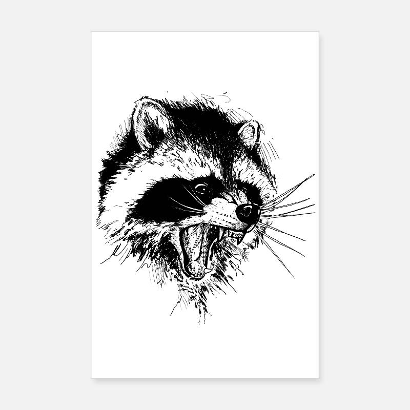 Raton laveur Poster 20 x 30 cm
