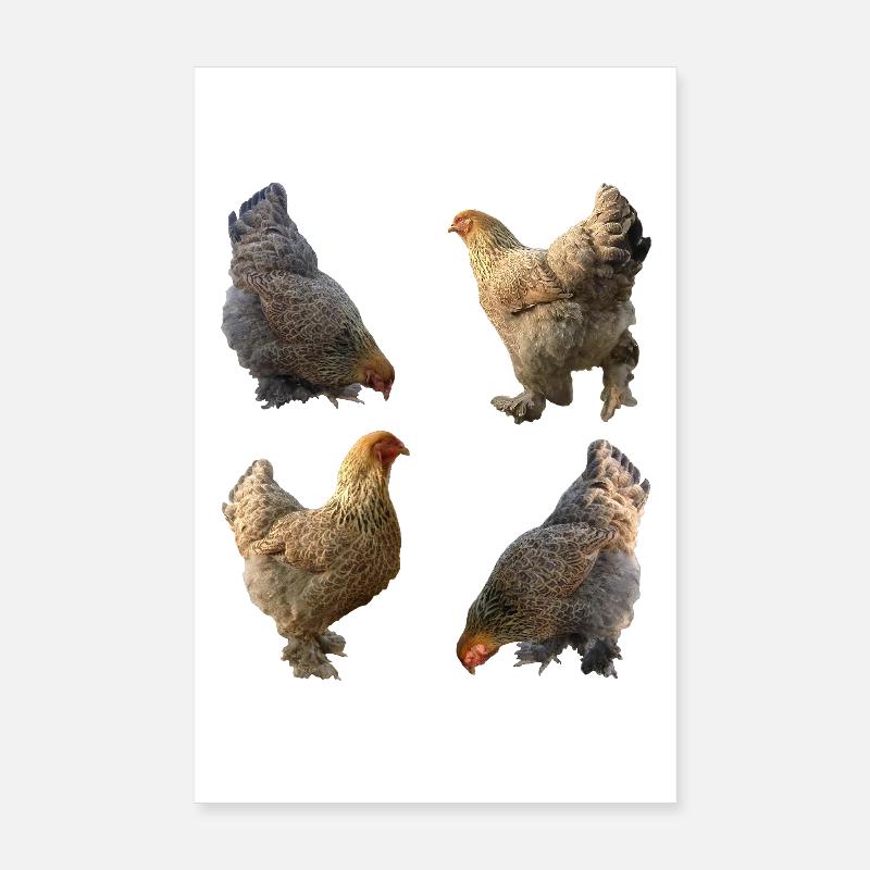 Poulailler Poster 20 x 30 cm