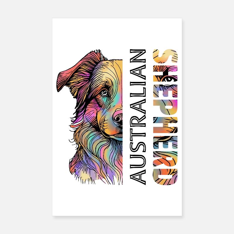 Australian Shepherd - Poster 20x30 cm - Weiß
