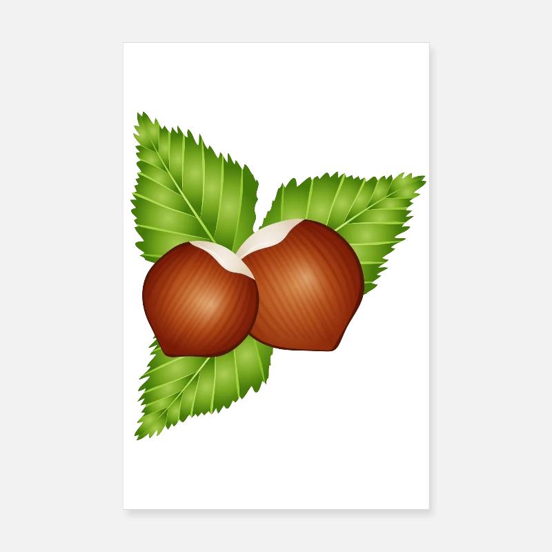 two bright brown hazelnuts with leaves Poster 8" x 12" (20x30 cm)