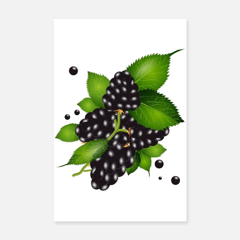 wunderschöne dunkelviolette Brombeeren mit Blätter Poster 20x30 cm