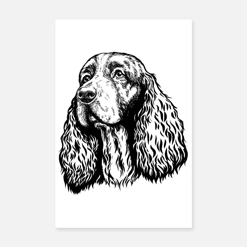 Spaniel Portrait - Poster 20x30 cm - Weiß