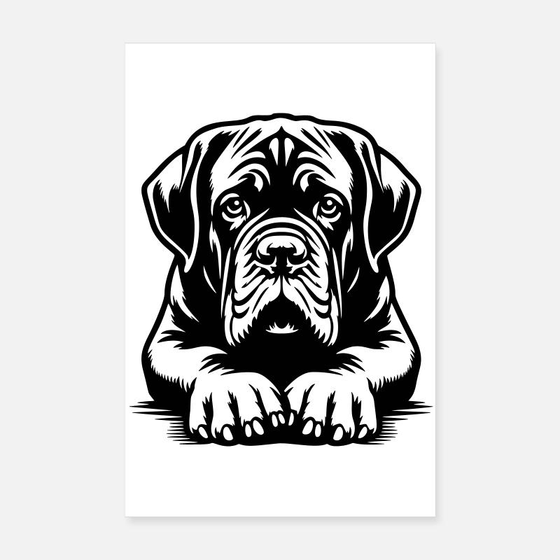 Tête de Dogue de Bordeaux avec pattes Poster 20 x 30 cm