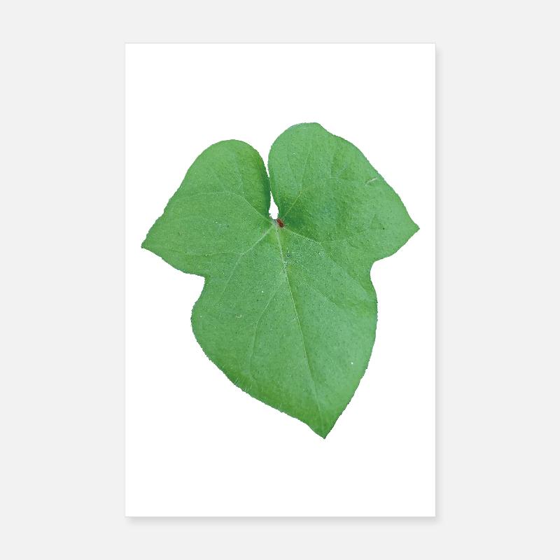 Green_Leaf_-_Tiny_Red_Spider - Poster 20 x 30 cm - blanc