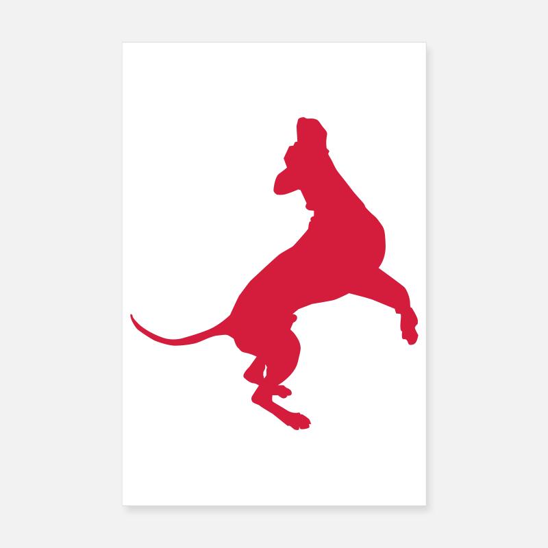 Saut Dane Poster 20 x 30 cm
