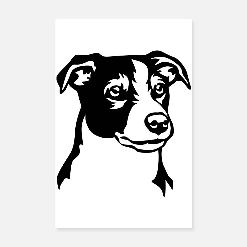 Tête de Jack Russell Terrier Poster 20 x 30 cm