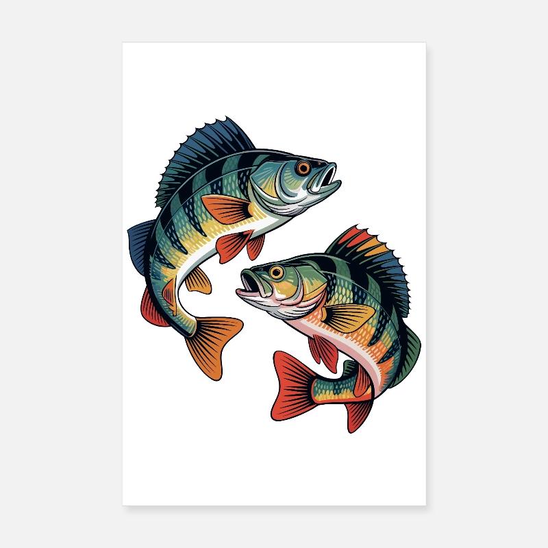 Zwei springende Barsche Poster 20x30 cm