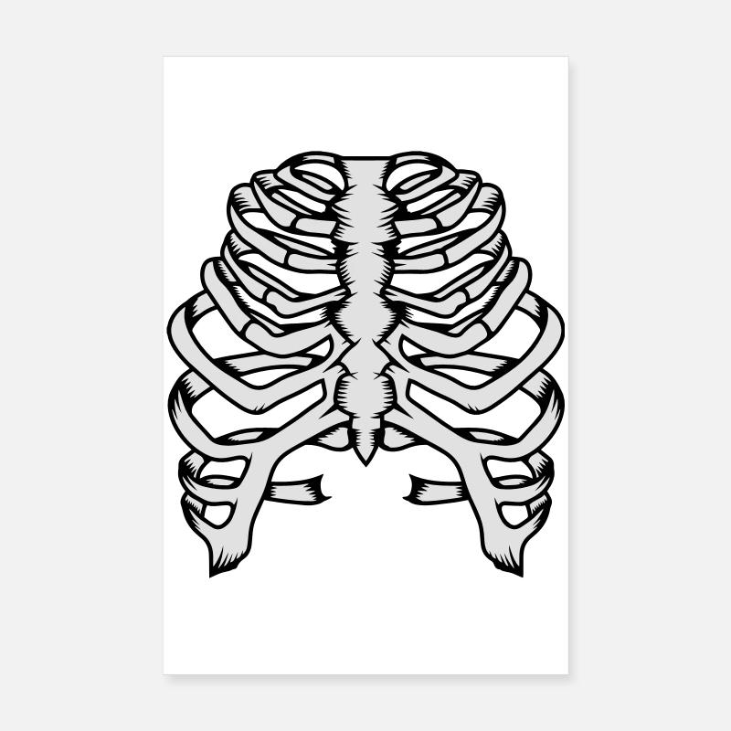 Skelett eines menschlichen Brustkorbs Poster 20x30 cm