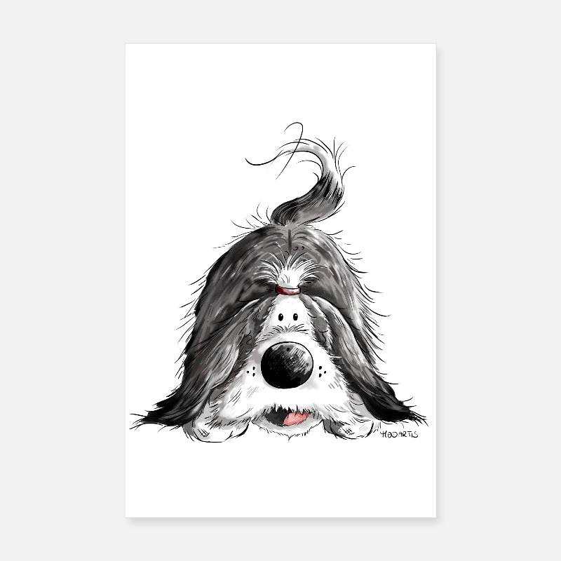Fröhlicher Bearded Collie Poster 20x30 cm
