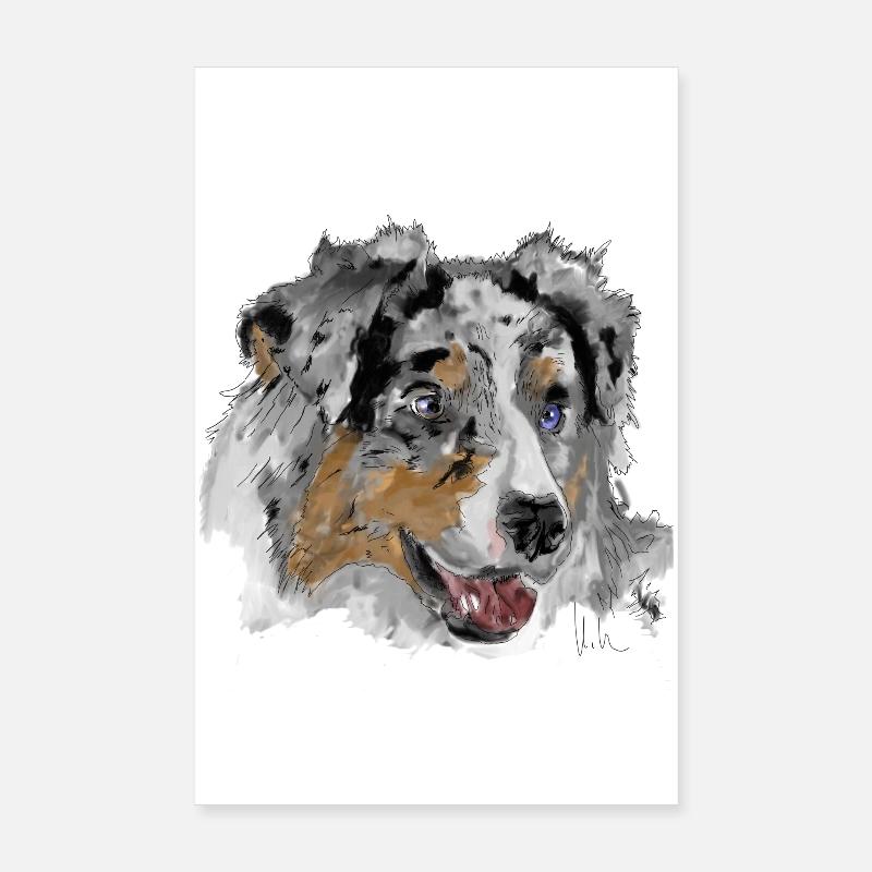 Berger australien Poster 20 x 30 cm