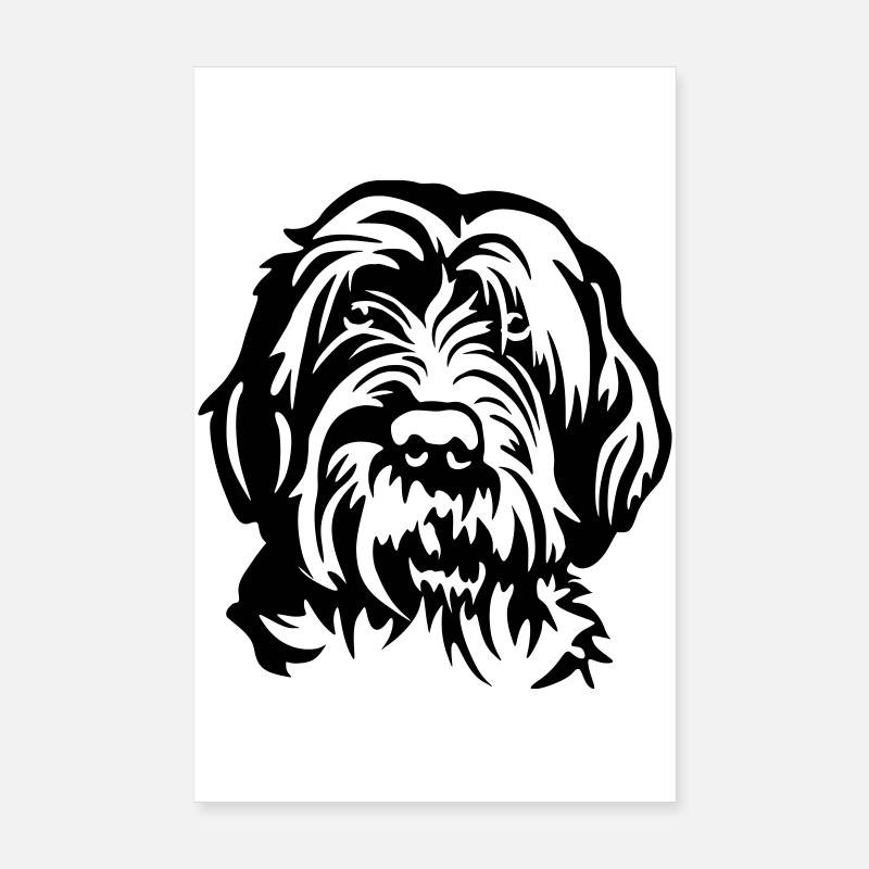 Griffon Korthals Kopf Poster 20x30 cm
