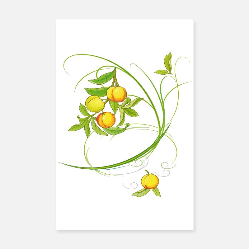 Pêches, fruits Poster 20 x 30 cm