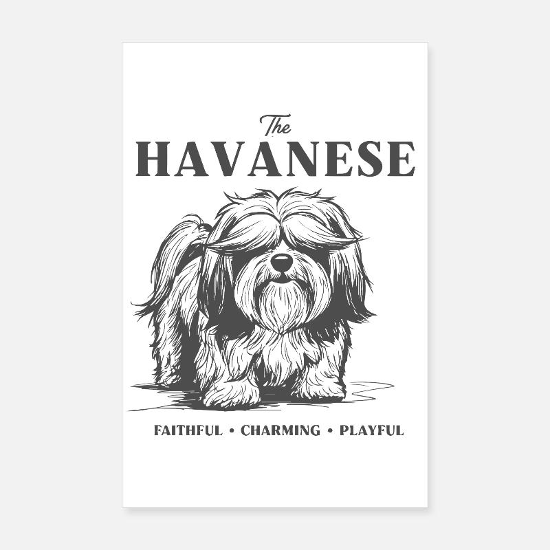 Havanese Charm Dog Design Poster 8" x 12" (20x30 cm)