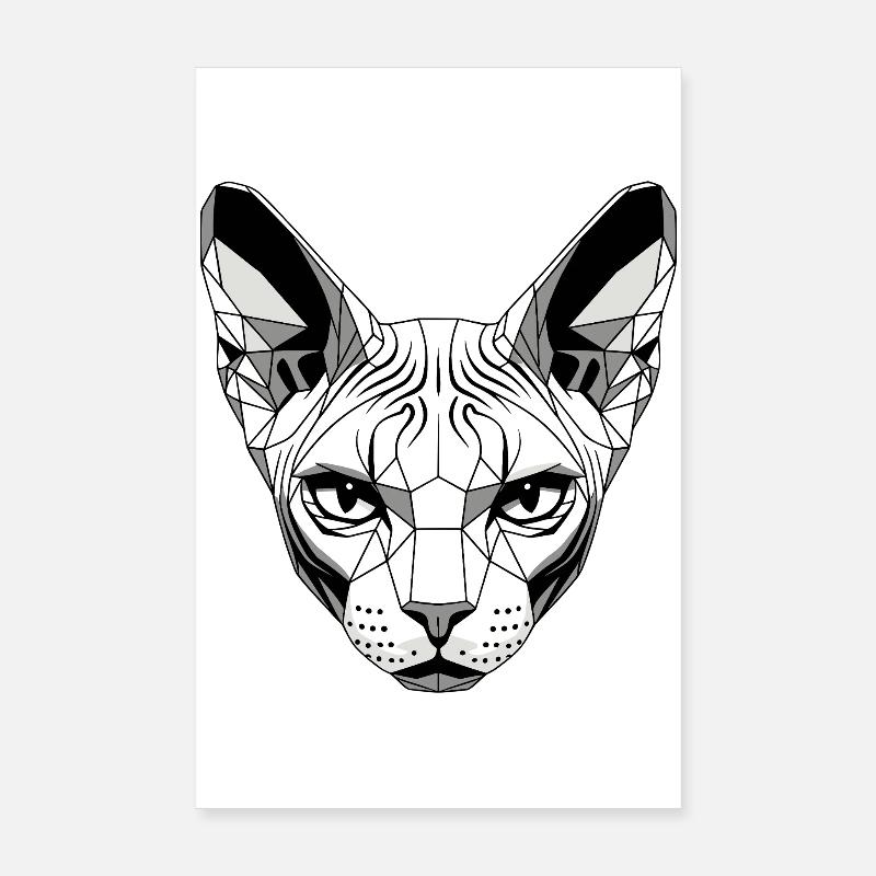 Sphynx Chat Sphynx Chat Chat Canadien Sphinx mignon Poster 20 x 30 cm