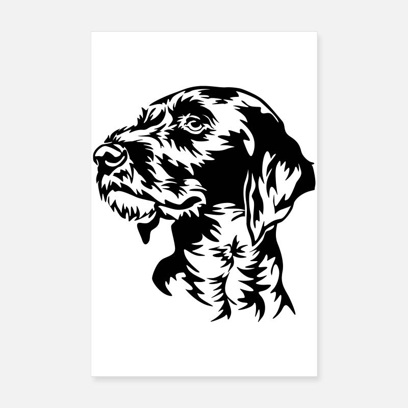 German Wirehaired Pointer head Poster 8" x 12" (20x30 cm)