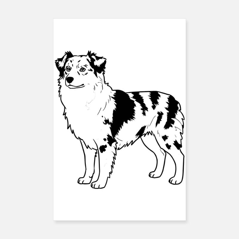 Berger australien  Poster 20 x 30 cm
