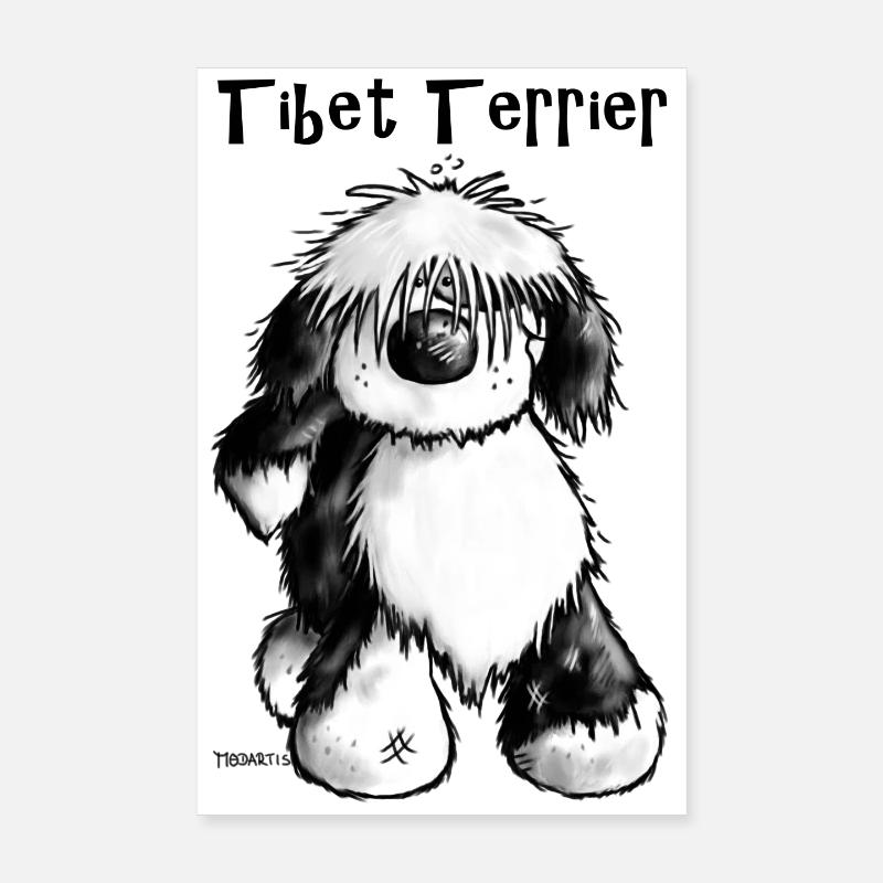 Süßer Tibet Terrier - Poster 20x30 cm - Weiß